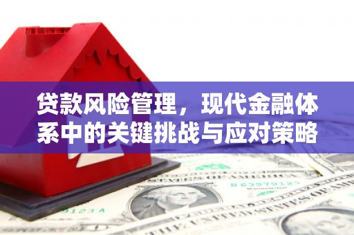 滁州贷款风险管理，现代金融体系中的关键挑战与应对策略